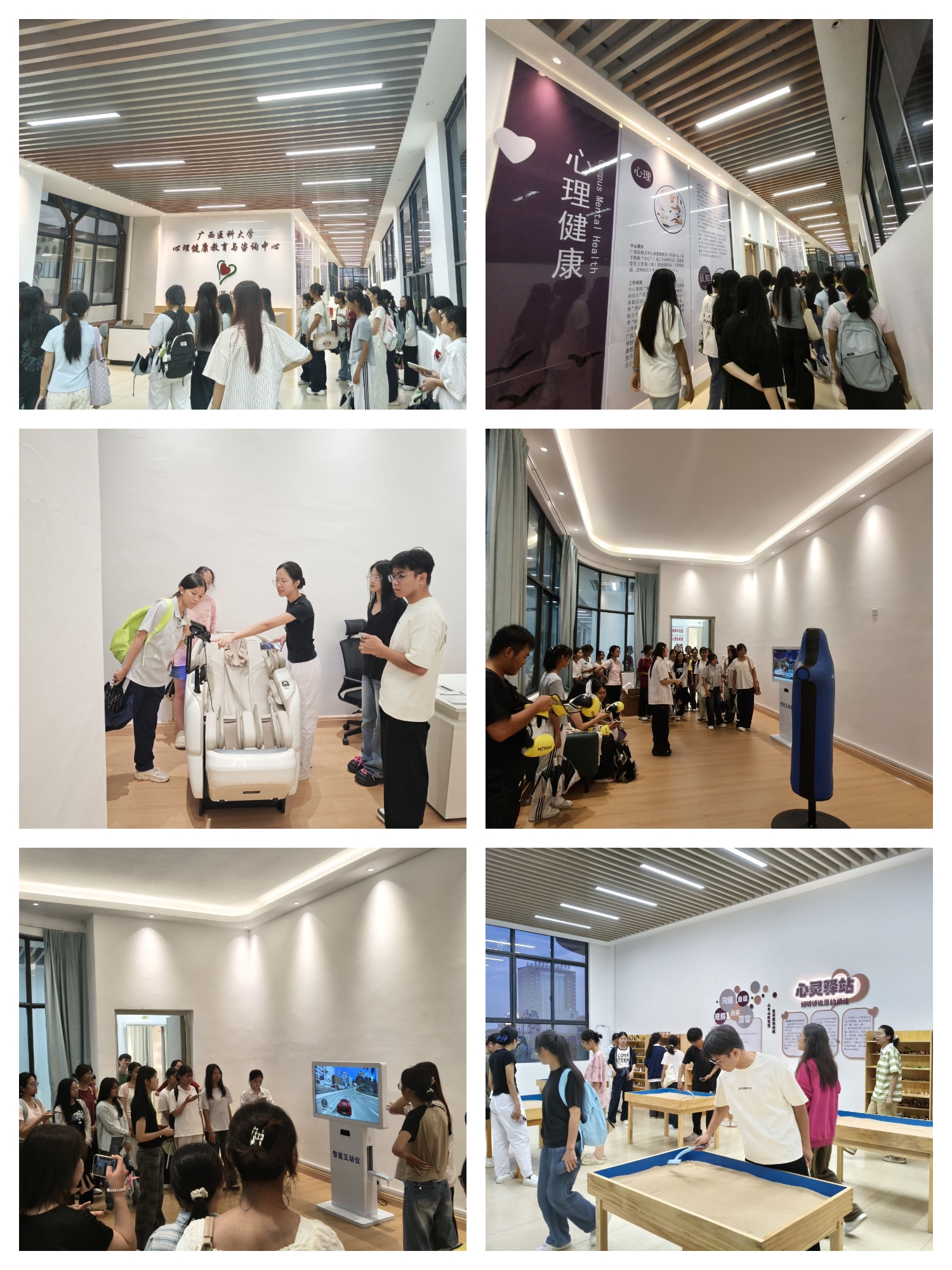 BET体育365登录入口